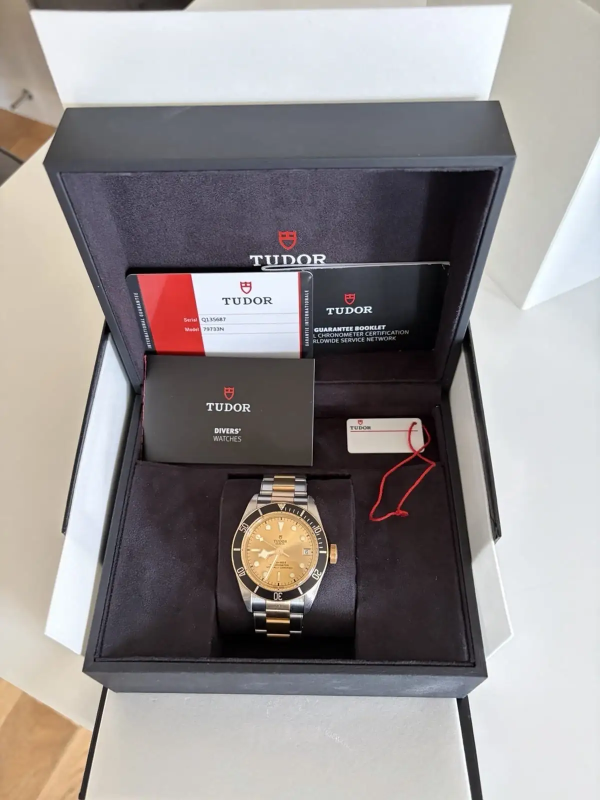 Montre TUDOR Black Bay S&G 41 mm, ensemble complet. Excellent état.